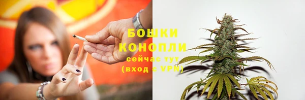 крисы Михайлов