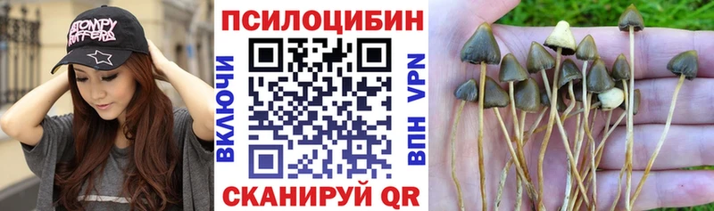 kraken   Приволжский  Псилоцибиновые грибы мухоморы 
