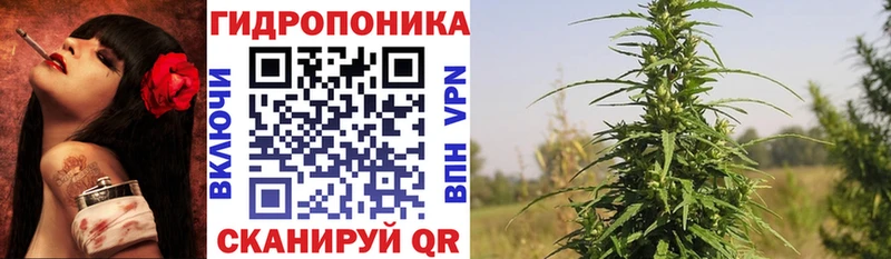 Бошки марихуана конопля MEGA tor Приволжский